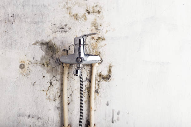 Best Water Damage Restoration  in Denver, PA