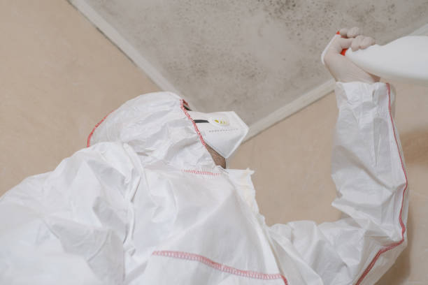Best Professional Mold Removal  in Denver, PA