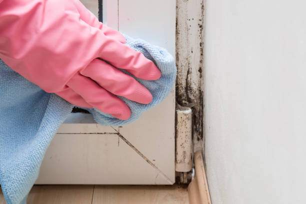 Best Crawl Space Mold Removal  in Denver, PA